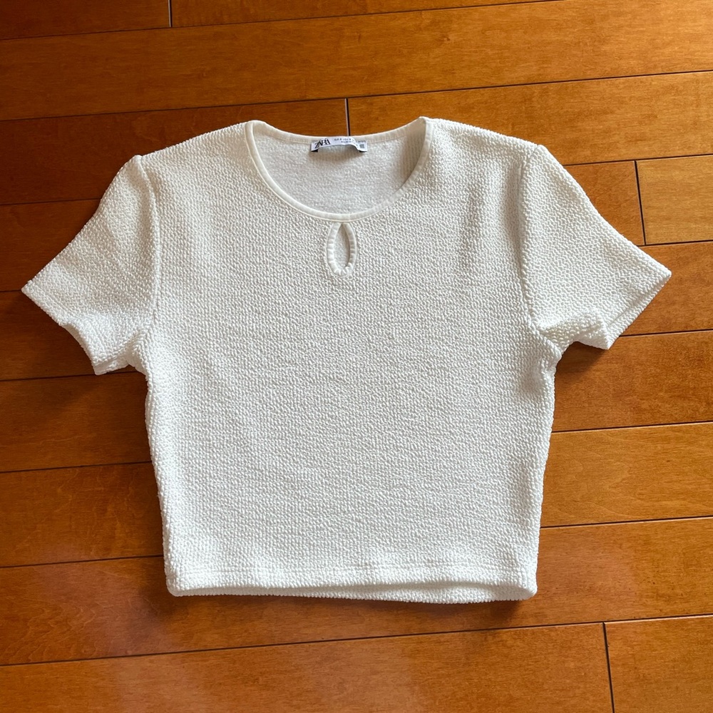 Zara crop top